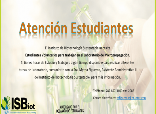 Estudiantes Voluntarios para Trabajar en el Laboratorio de Micropropagación