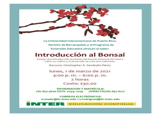 Taller: Introducción al Bonsai