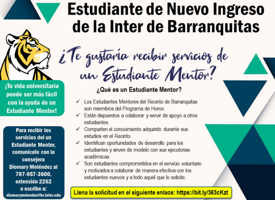 Servicios de Mentoría